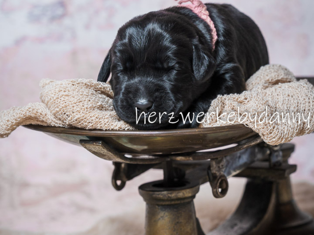 Frau Rosa nach 10 Tagen